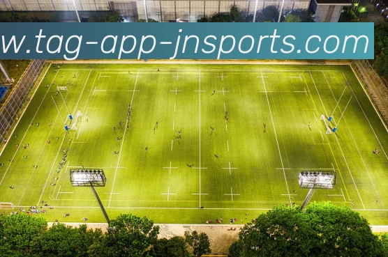 App Interface Preview